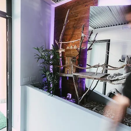 Gasthuis Le Ai Trabocchi